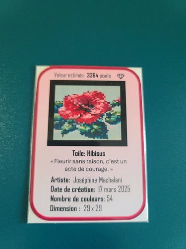 Aceo pixel art - pixel, –