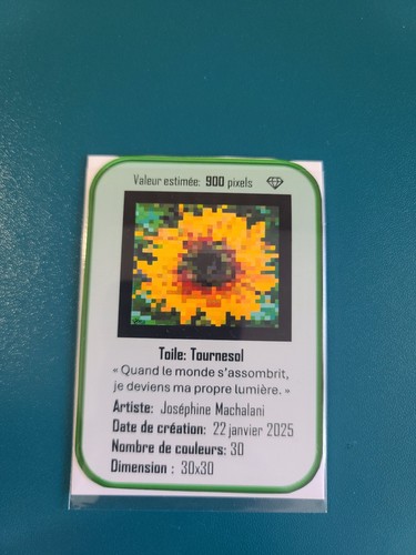Aceo pixel art - aceo, –